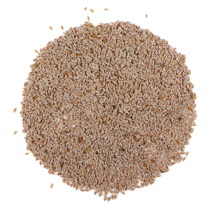 Psyllium seeds