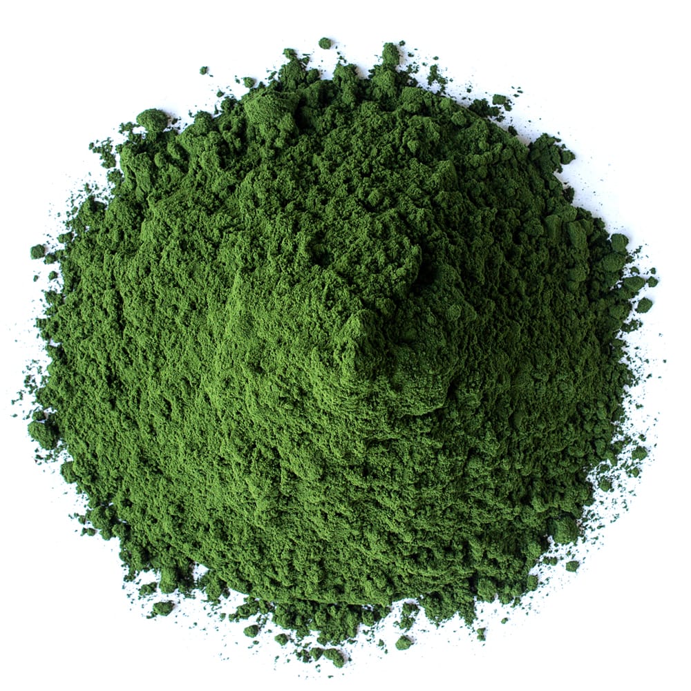 Minced chlorella