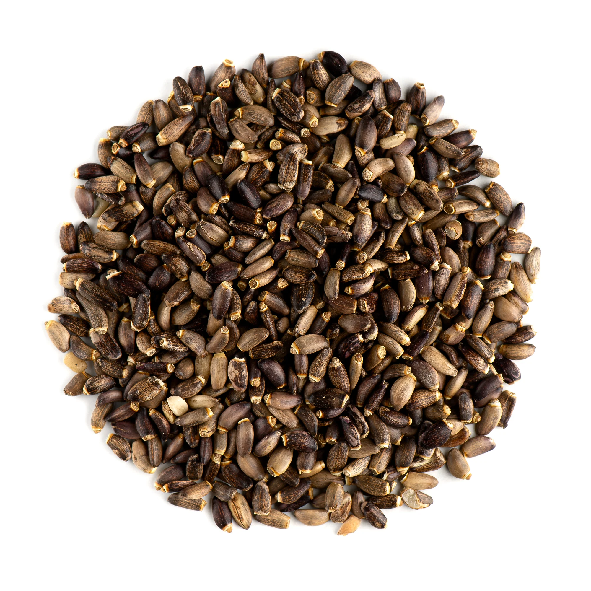 Milk thistle seeds